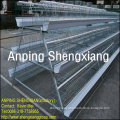 (Germany TUV Rheinland)ISO9001,14000 design layer chicken cages